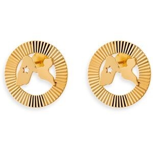 Boucles D'oreilles Or 375 Carte Guadeloupe Etoile Cercle Diamanté 15mn