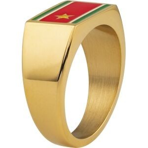 Chevalière Acier Jaune Drapeau Guadeloupe Email Multicolore 10*14mm Corps 4mm Taille 68