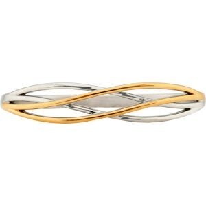 Jonc Acier Bicolore 65mm Motif 12.5mm Tube 5mm Avec Fermoir