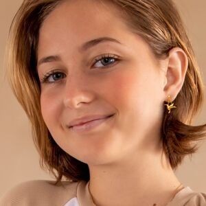 Boucles D'oreilles Or 375 Pendant 27mm Colibri 19*15mm