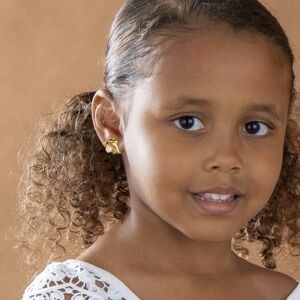 Boucles D'oreilles Plaqué Or Dauphin Cristal Blanc 8.5*10mm