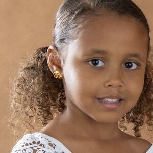Boucles D'oreilles Plaqué Or Dauphin Cristal Rose 7.5*8mm