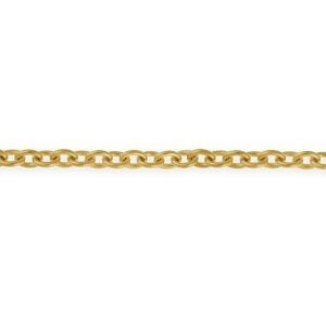 Bracelet Acier Jaune 21cm Maille Forçat Antillais 10mm