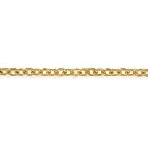Bracelet Acier Jaune 21cm Maille Forçat Antillais 10mm