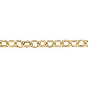 Bracelet Or 750 Maille Forçat Antillais 10mm 21cm