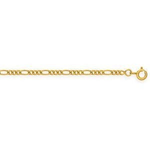 Chaîne Cheville Or 375 25cm Maille Cheval Alternée 2.3mm