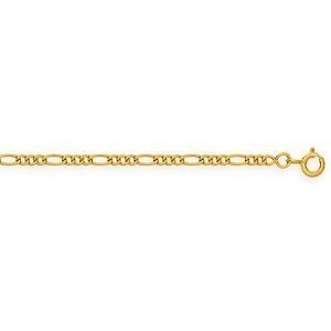 Chaîne Cheville Or 375 25cm Maille Cheval Alternée 2.3mm