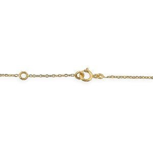Chaîne Cheville Or 375 25  à 27mm Maille Forçat 1.5mm Colibri 9*15mm