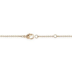 Chaîne Cheville Plaqué Or 23  à 25cm 1.6mm Carte Gwada
