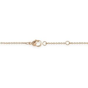 Chaîne Cheville Plaqué Or 23  à 25cm 1.6mm 971