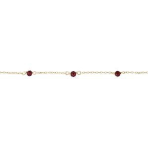 Chaîne Cheville Or 750 Grenats 3mm 25  à 27cm
