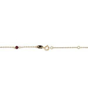 Chaîne Cheville Or 750 Grenats 3mm 25  à 27cm