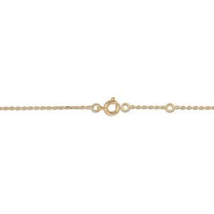 Chaîne Cheville Plaqué Or 25  à 27cm Gecko 22*9mm