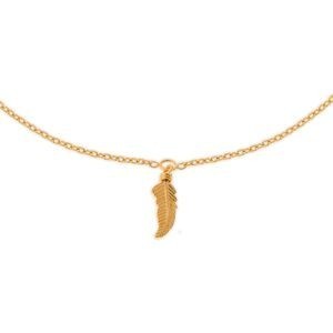 Chaîne Cheville Plaqué Or 25  à 27cm Plume 12*4mm