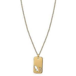 Collier Acier Jaune G.9.7 Carte Martinique Ajourée Chaîne 2mm 50  à 55cm Plaque 19*30mm