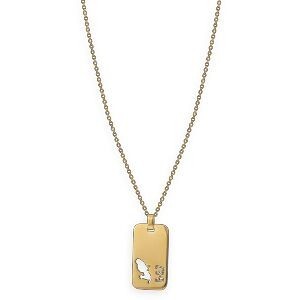 Collier Acier Jaune G.9.7 Carte Martinique Ajourée Chaîne 2mm 50  à 55cm Plaque 19*30mm