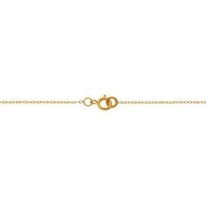 Collier Plaqué Or 2.2mm Rose 17mm 46.5cm