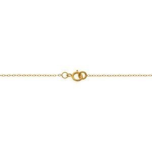 Collier Plaqué Or 2.2mm Rose 17mm 46.5cm