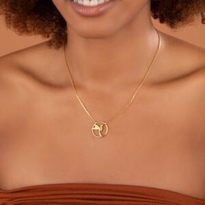 Collier Plaqué Or 1.7mm Colibri Cerclé 20mm 45.5cm