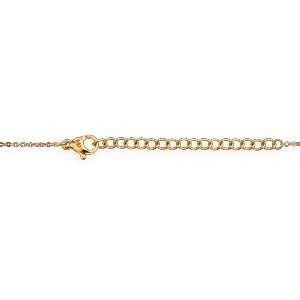 Collier Acier Bicolore Colibri Bleu 30*32mm Chaîne 40  à 45cm