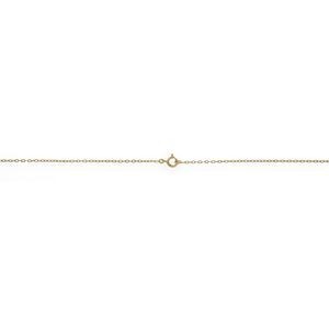 Collier Or 750 Maille Forçat Cristal Grenat 4mm 45cm