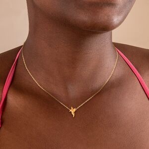Collier Plaqué Or 1.3mm Colibri 10*12.5mm 38  à 42cm