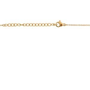 Collier Acier Jaune Soleil Zirconium 15.5*22mm 42  à 45cm