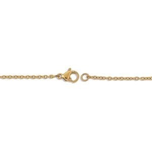 Collier Chaîne Acier Jaune Maille Forçat 1.5mm 50cm