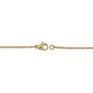 Collier Chaîne Acier Jaune Maille Forçat 1.5mm 50cm