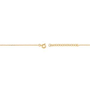 Collier Plaqué Or 42  à 45cm Batée 12mm Cristal Grenat 4mm