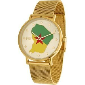 Montre Homme G97 Carte Drapeau Guyane Cadran Doré 36.6mm Brac Mesh Doré 17.5mm 3ATM