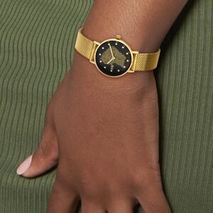 Montre Femme G97 Carte Guyane Dorée Cadran Noir 30mm Brac Mesh Doré 14mm 3ATM