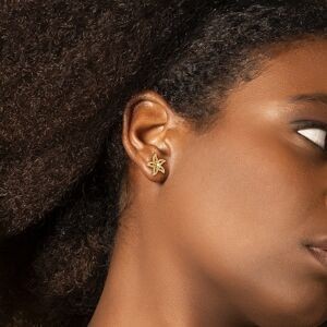 Boucles D'oreilles Carambole Zirconium 12mm Plaqué Or