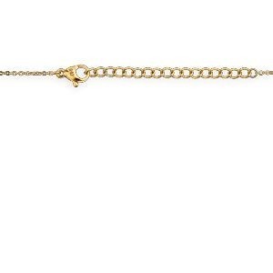 Collier Acier Bicolore Chaîne 40  à 45cm Carte Martinique Couleur Argent 15*20mm