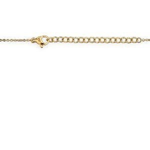 Collier Acier Bicolore Chaîne 40  à 45cm Carte Martinique Couleur Argent 15*20mm