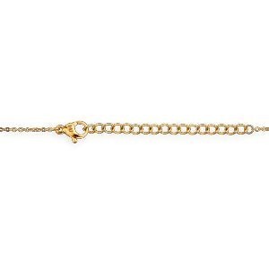Collier Acier Jaune Carte Guyane Pailleté 16*24mm 40  à 45cm