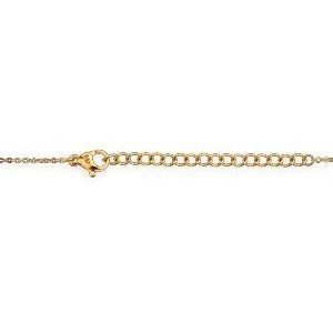 Collier Acier Jaune Carte Guyane Pailleté 16*24mm 40  à 45cm