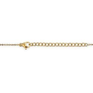 Collier Acier Bicolore Carte Guyane Pailleté Argenté 16*24mm 40  à 45cm