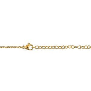 Collier Acier Bicolore Carte Martinique Chaîne 2mm Plaque 19*30mm 50  à 55cm