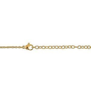 Collier Acier Bicolore Carte Martinique Chaîne 2mm Plaque 19*30mm 50  à 55cm