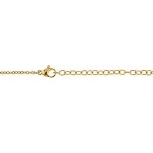 Collier Acier Bicolore Carte Guadeloupe Chaîne 2mm Plaque 19*30mm 50  à 55cm