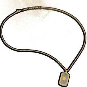 Collier Acier Bicolore Carte Guyane Chaîne 2mm Plaque 19*30mm 50  à 55cm