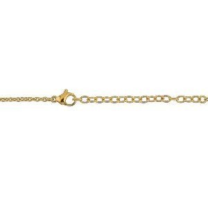 Collier Acier Bicolore Carte Guyane Chaîne 2mm Plaque 19*30mm 50  à 55cm