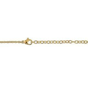Collier Acier Bicolore Carte Guyane Chaîne 2mm Plaque 19*30mm 50  à 55cm