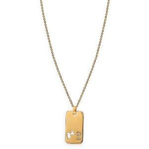 Collier Acier Jaune G.9.7 Carte Guadeloupe Ajourée Chaîne 2mm 50  à 55cm Plaque 19*30mm