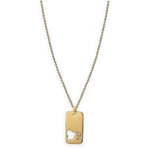 Collier Acier Jaune G.9.7 Carte Guyane Ajourée Chaîne 2mm Plaque 19*30mm 50  à 55cm