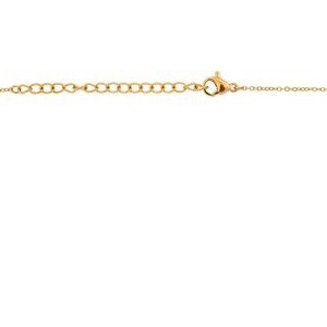 Collier Acier Jaune Carte Guyane 17*25mm Chaîne 1.5mm 42  à 45cm