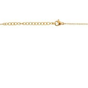 Collier Acier Jaune Carte Guyane 17*25mm Chaîne 1.5mm 42  à 45cm