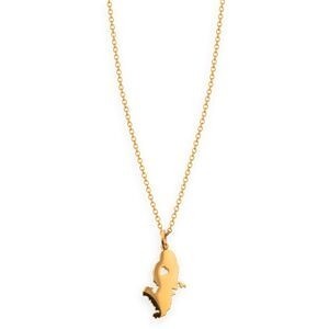 Collier Acier Jaune Carte Martinique 12*28mm Chaîne 1.5mm 42  à 45cm