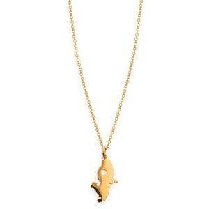 Collier Acier Jaune Carte Martinique 12*28mm Chaîne 1.5mm 42  à 45cm